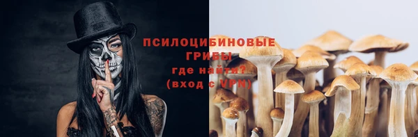 mdpv Абдулино