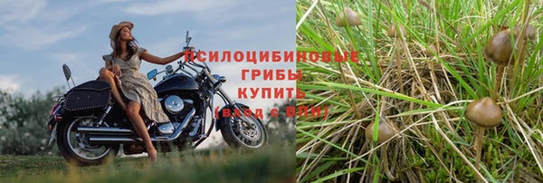 трава Абаза
