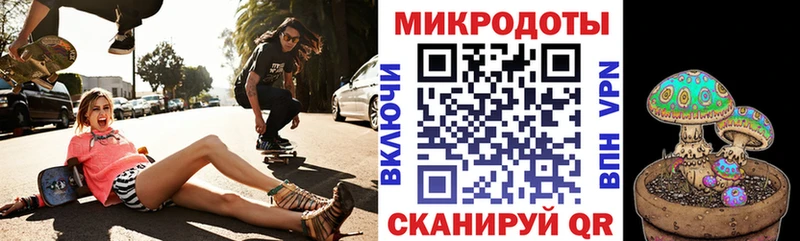 omg как зайти  Щучье  Галлюциногенные грибы GOLDEN TEACHER 